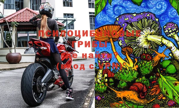 мдпв Абинск