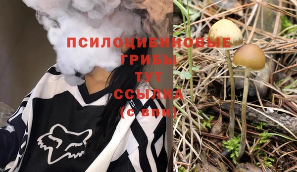 прущие крисы Абаза