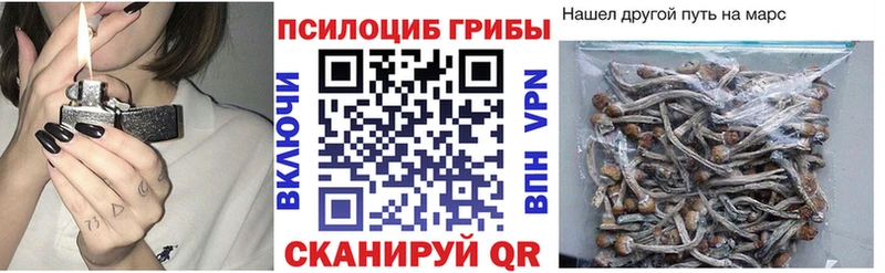 Псилоцибиновые грибы мицелий  мега рабочий сайт  Щёлкино 